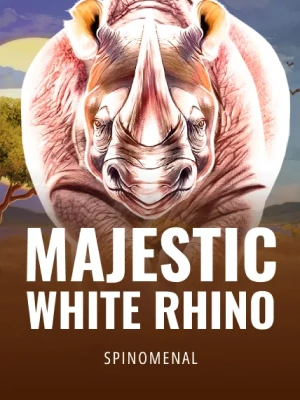 majestic white rhino