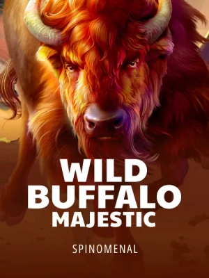 wild buffalo majestic